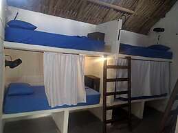 El Zoo Hostel & Pool