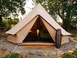 El Zoo Hostel & Pool