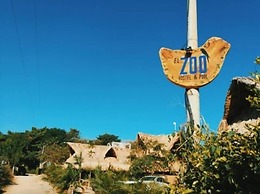 El Zoo Hostel & Pool