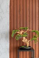 Xi'an City Center View Apartment