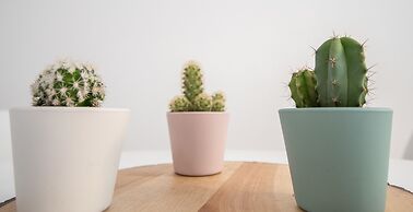 Apartamento La Goleta