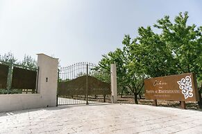 Oikos in Terre di Zaccanello