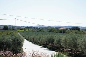 Oikos in Terre di Zaccanello