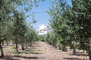 Oikos in Terre di Zaccanello