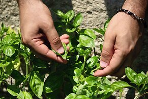 Oikos in Terre di Zaccanello