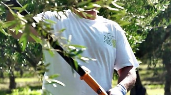 Oikos in Terre di Zaccanello