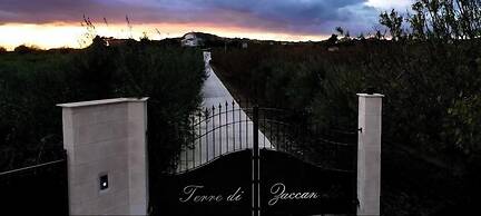 Oikos in Terre di Zaccanello