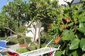 B&B Country House Il Grappolo