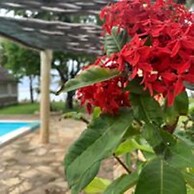 The Coconut Beach Boutique Lodge & Spa