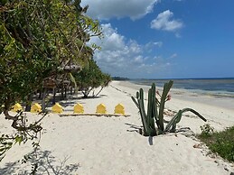 The Coconut Beach Boutique Lodge & Spa