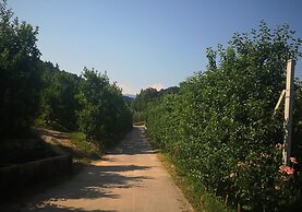 Casa in tipico Maso, tra natura e tradizione