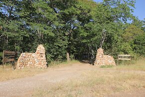 Miombo Safari Camp