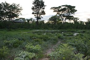 Miombo Safari Camp