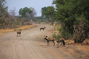 Miombo Safari Camp