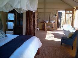 Miombo Safari Camp