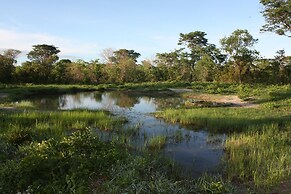 Miombo Safari Camp