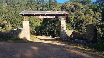 Ankroet Camp Da Lat