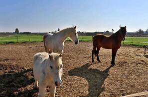 Casa Rural Ecuestre