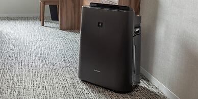 Far East Village Hotel Ariake, Tokyo