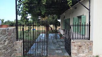 Country Village House