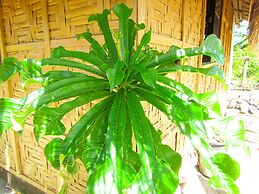 Siargao Tropic Hostel