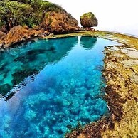 Siargao Tropic Hostel