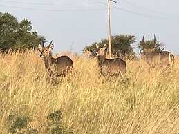 Spendpenny Guest Farm