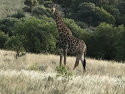 Spendpenny Guest Farm