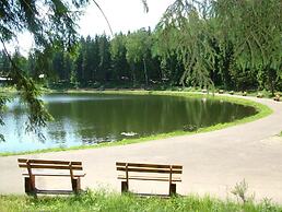 Park-Hotel Tsarsky Les