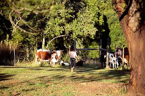 AfriCamps at Gowan Valley - Glamping