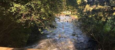 AfriCamps at Gowan Valley - Glamping