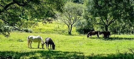 AfriCamps at Gowan Valley - Glamping