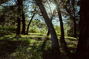 AfriCamps at Gowan Valley - Glamping