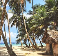 Cabins in Asserya Island - San Blas paradise - meals included