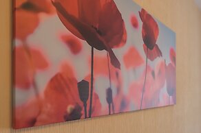 Abri Luxe - Solar city