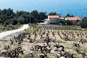 Apartments Villa Ana - Dingac