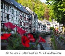 Green Seeblick Hotel & Apartments