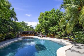 Libelula Lounge & Lodgings