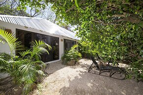 Libelula Lounge & Lodgings