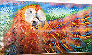 Libelula Lounge & Lodgings