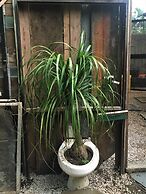 Libelula Lounge & Lodgings