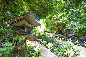 Libelula Lounge & Lodgings