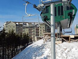 3 Br: Soaring Eagle 404