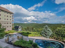 3 Br: Soaring Eagle 404