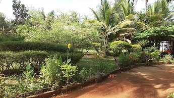 sigiriya pikaso homestay