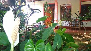 sigiriya pikaso homestay