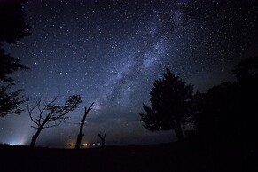 Pine House in ISHIGAKI