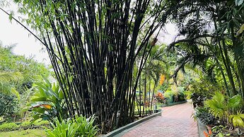 Coorg Jungle Camp Backwater Resort