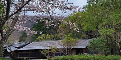 Tsukiyominoza