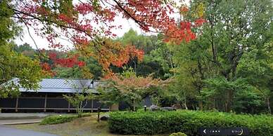 Tsukiyominoza